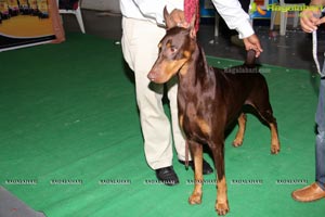 Hyderabad Dog Show