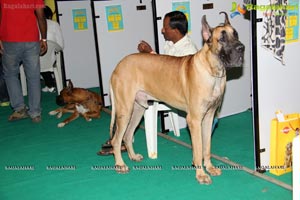 Hyderabad Dog Show