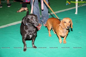 Hyderabad Dog Show