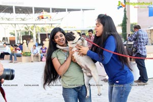 Hyderabad Dog Show