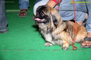 Hyderabad Dog Show