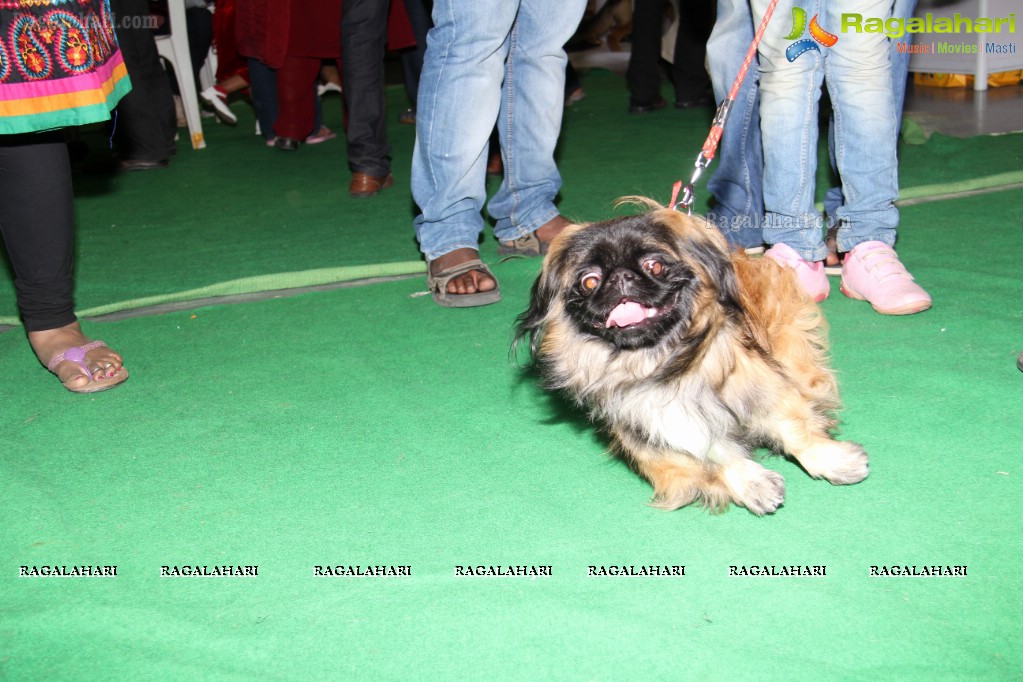 HyCan Dog Show 2013 at HITEX, Hyderabad