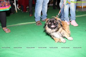 Hyderabad Dog Show