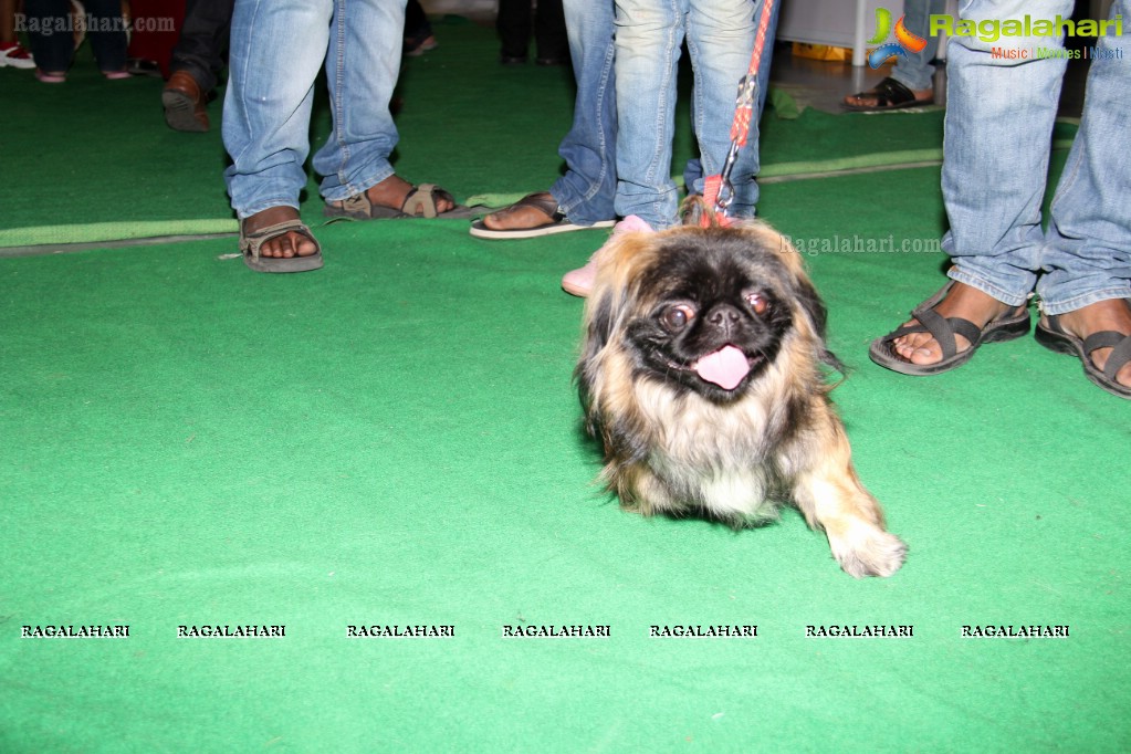 HyCan Dog Show 2013 at HITEX, Hyderabad