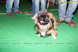 Hyderabad Dog Show