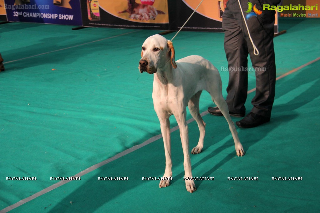 HyCan Dog Show 2013 at HITEX, Hyderabad