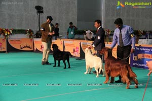 Hyderabad Dog Show