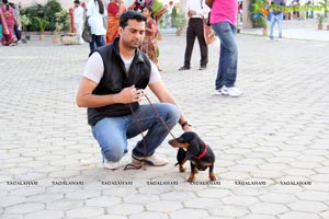 Hyderabad Dog Show