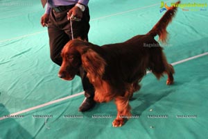 Hyderabad Dog Show