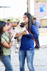 Hyderabad Dog Show