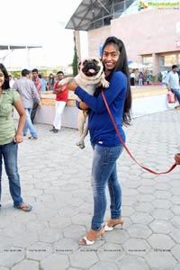 Hyderabad Dog Show