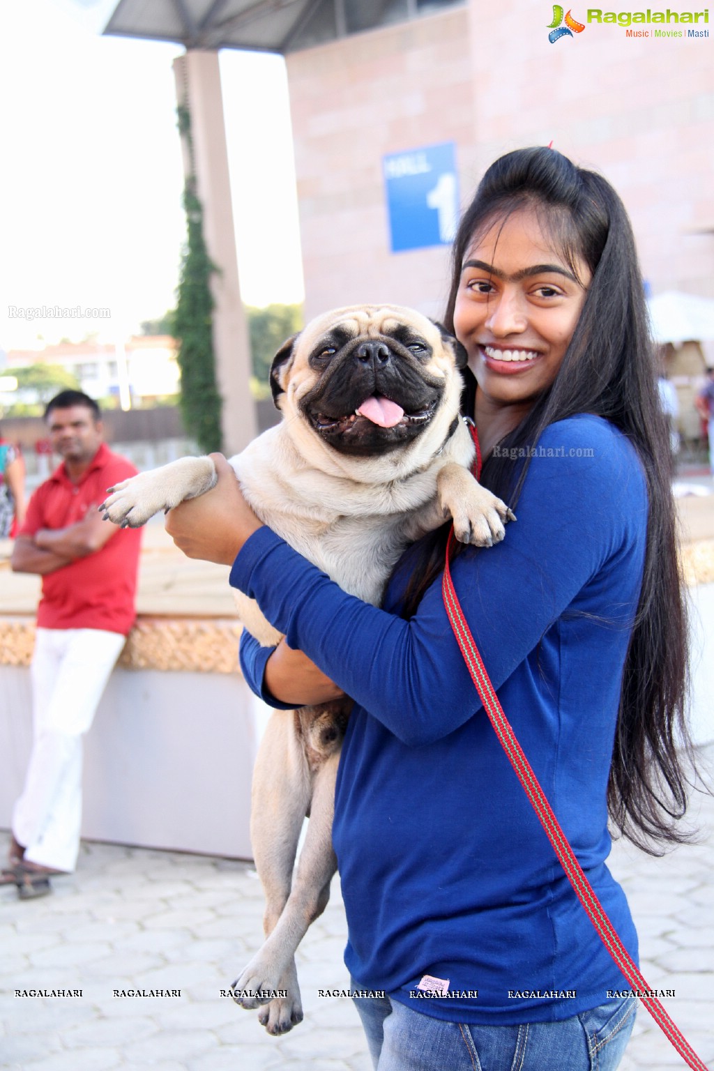 HyCan Dog Show 2013 at HITEX, Hyderabad