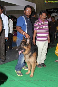 Hyderabad Dog Show