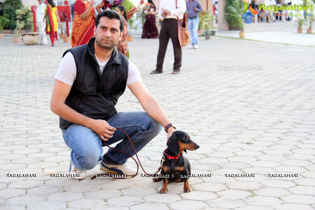 HyCan Dog Show 2013 at HITEX, Hyderabad