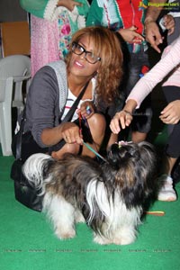 Hyderabad Dog Show