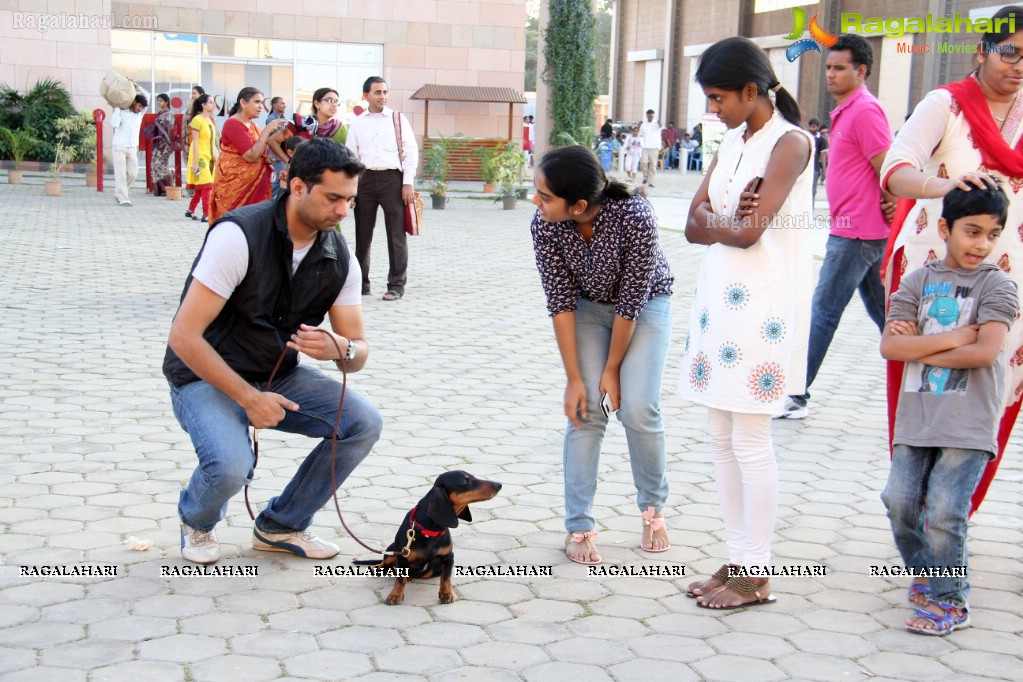 HyCan Dog Show 2013 at HITEX, Hyderabad