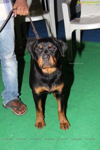 Hyderabad Dog Show