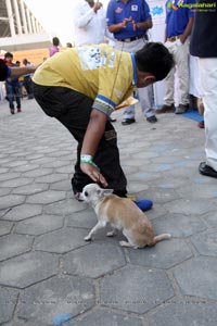 Hyderabad Dog Show