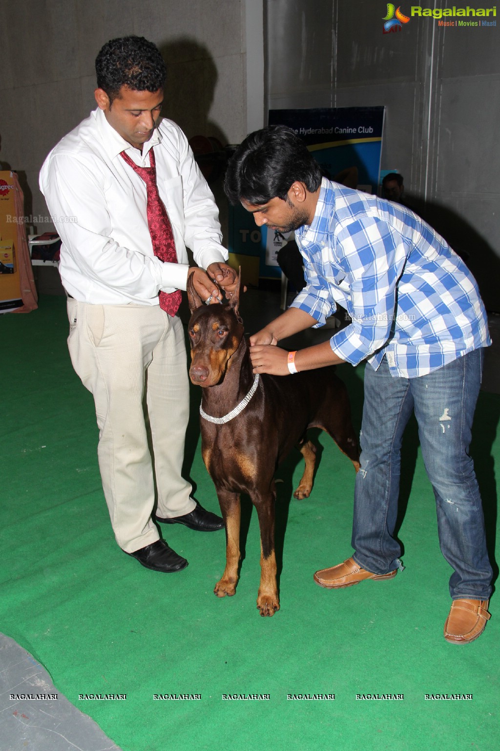 HyCan Dog Show 2013 at HITEX, Hyderabad