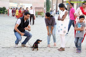 Hyderabad Dog Show