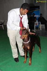 Hyderabad Dog Show