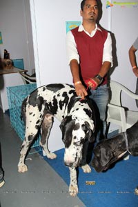 Hyderabad Dog Show