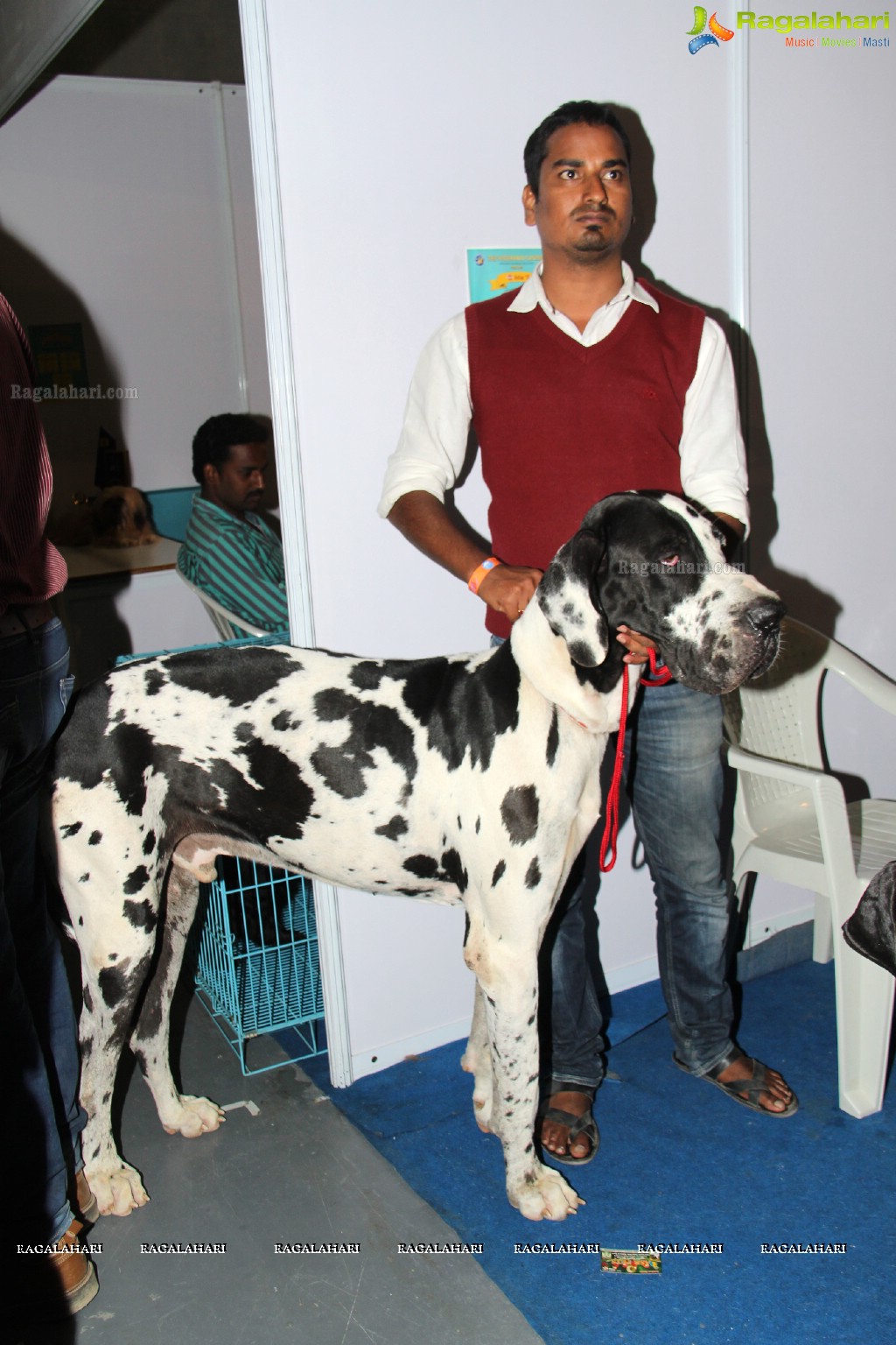 HyCan Dog Show 2013 at HITEX, Hyderabad
