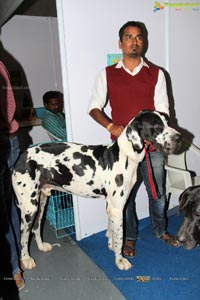 Hyderabad Dog Show