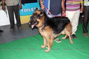 Hyderabad Dog Show