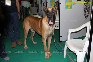 Hyderabad Dog Show