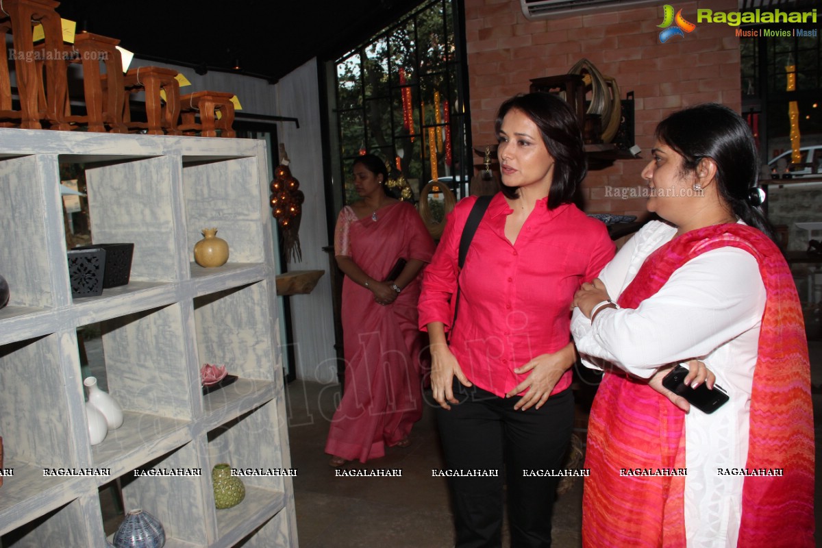 Amala Akkineni launches Eucalyptus, Hyderabad