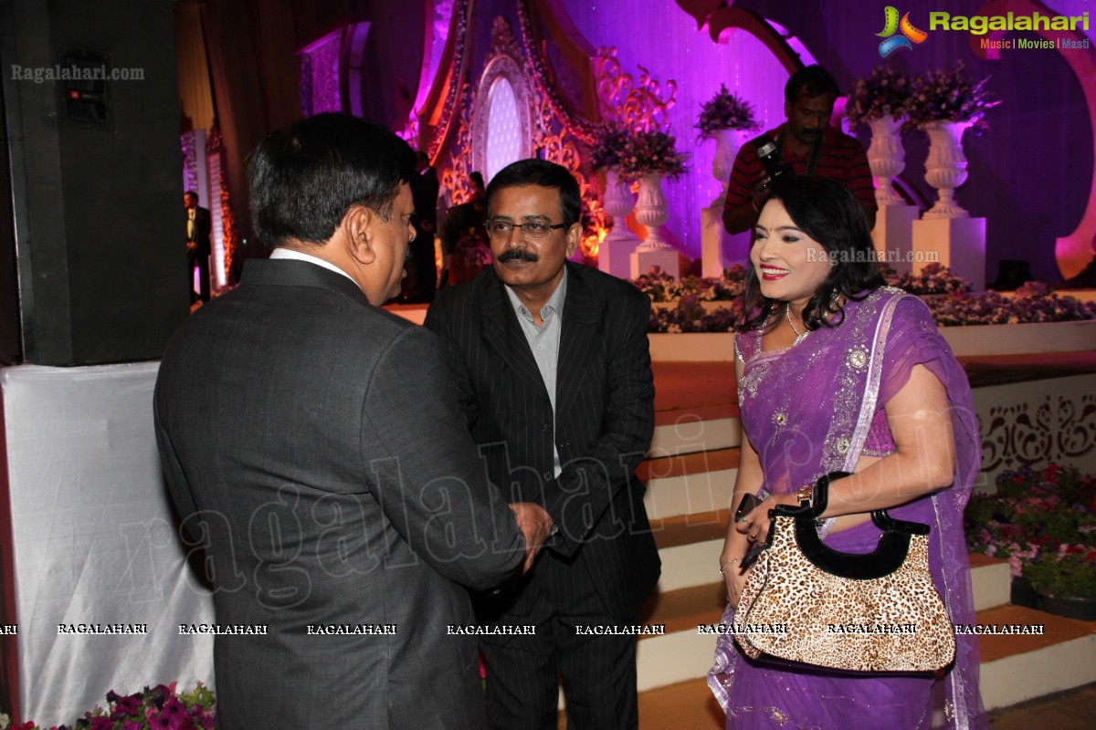 Gaurav Sanghi-Ankita's Wedding Reception at HITEX