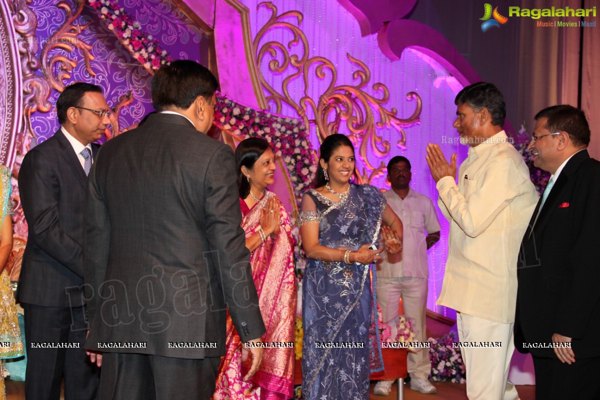 Gaurav Sanghi-Ankita's Wedding Reception at HITEX