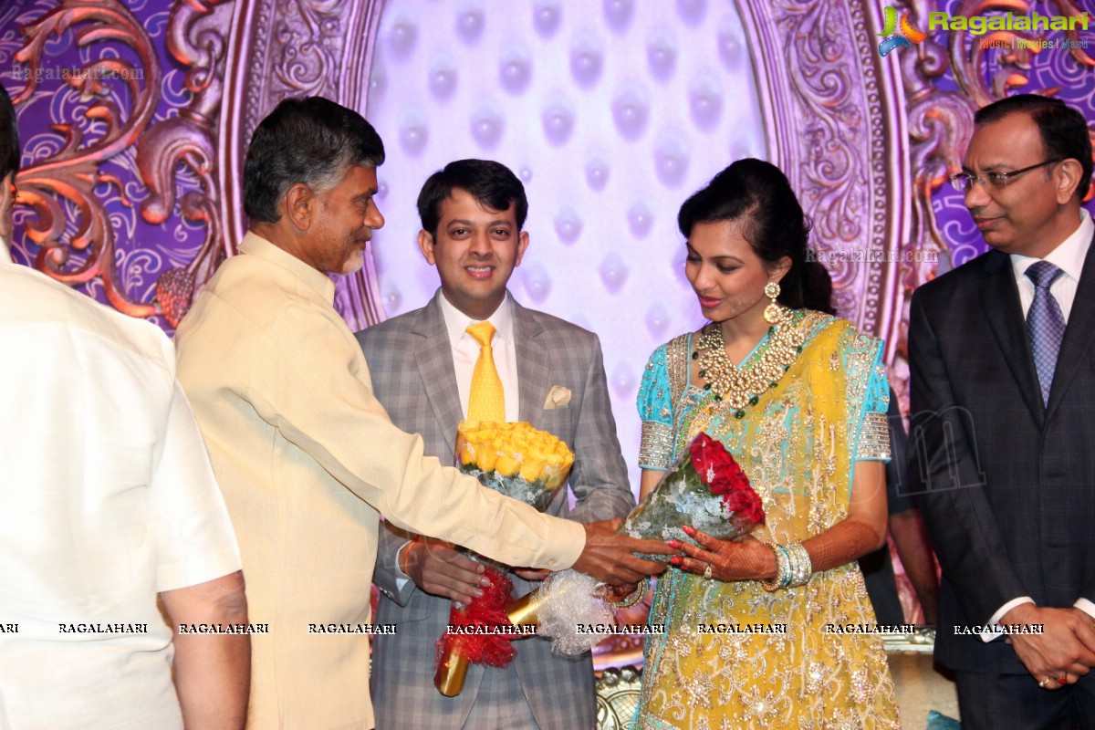 Gaurav Sanghi-Ankita's Wedding Reception at HITEX