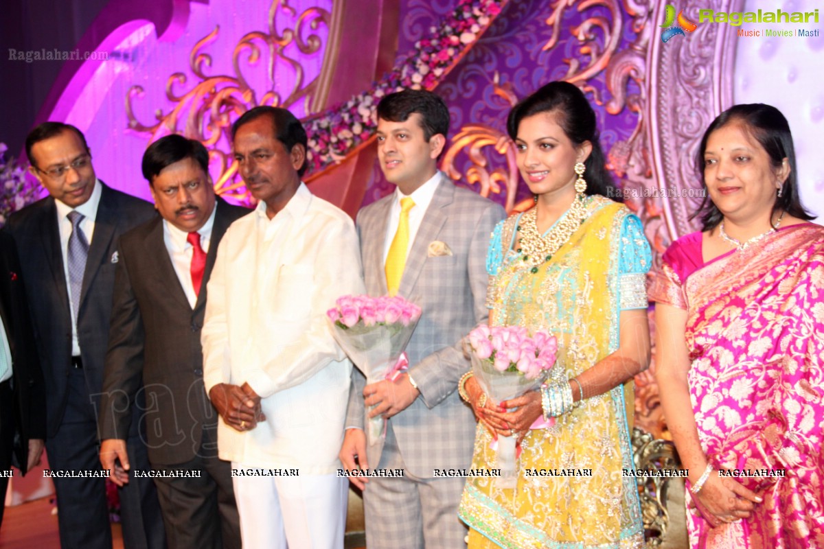 Gaurav Sanghi-Ankita's Wedding Reception at HITEX