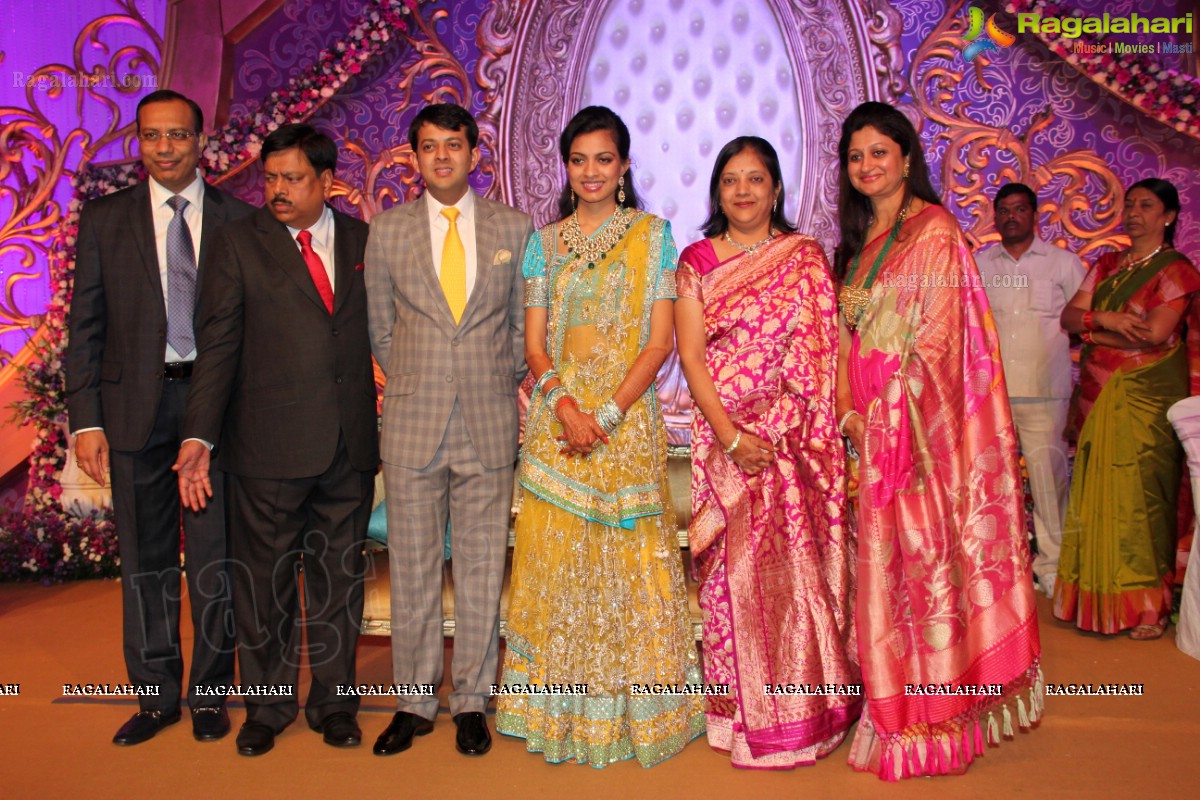 Gaurav Sanghi-Ankita's Wedding Reception at HITEX