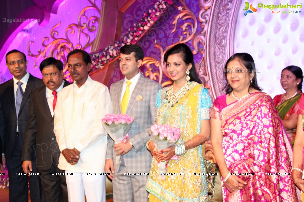 Gaurav Sanghi-Ankita's Wedding Reception at HITEX