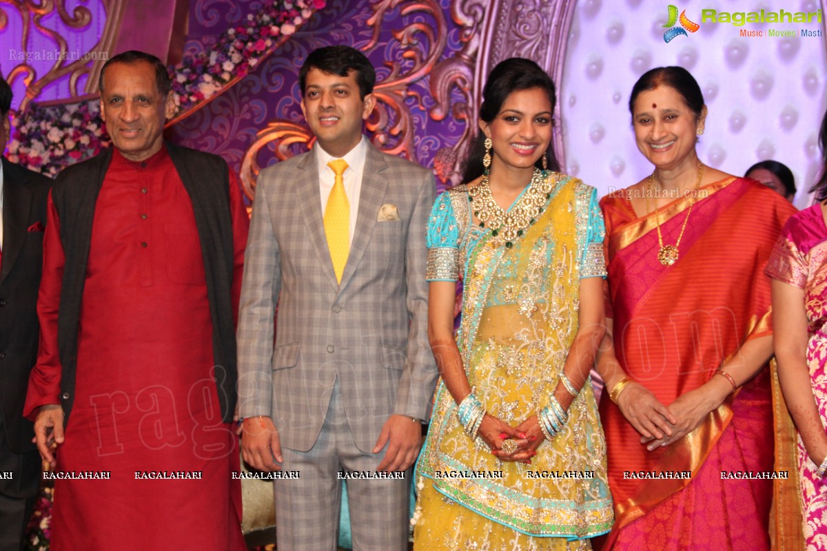 Gaurav Sanghi-Ankita's Wedding Reception at HITEX