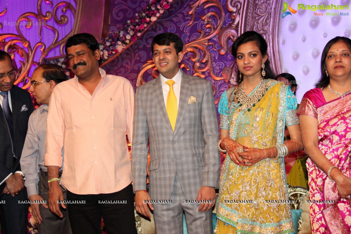 Gaurav Sanghi-Ankita's Wedding Reception at HITEX