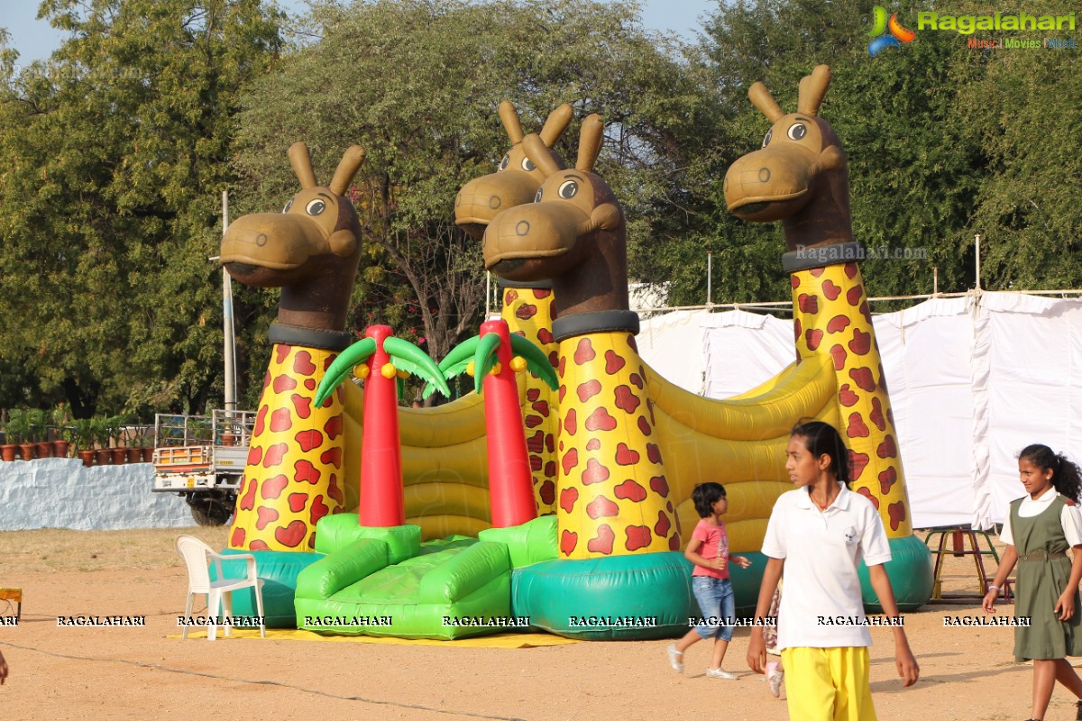 The Hyderabad Public School Eagles Carnival 2013