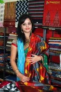 IKAT Mela Vizag 2013