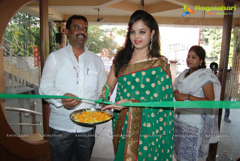 Pochampally IKAT Art Mela, Vizag