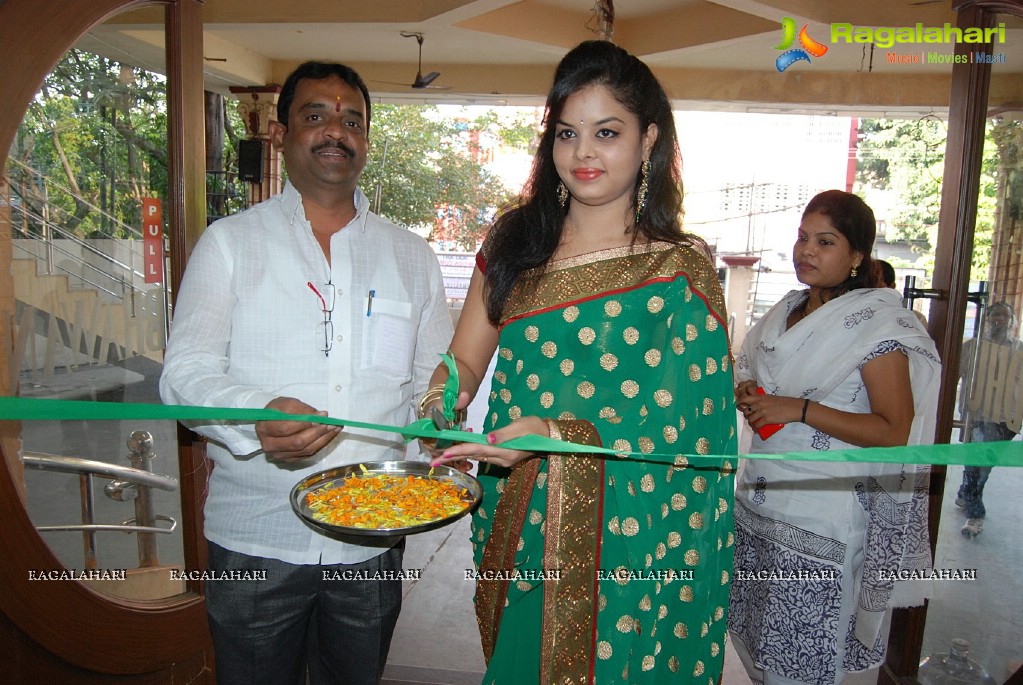 Pochampally IKAT Art Mela, Vizag