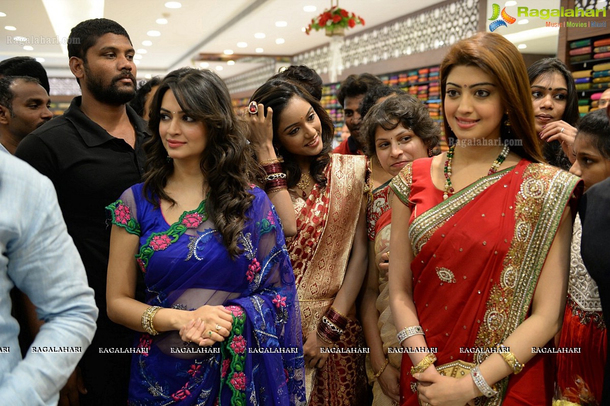 Anushka inaugurates Kalamandir in Rajahmundry and Kakinada