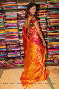 Kancheepuram Varamahalakshmi Silks