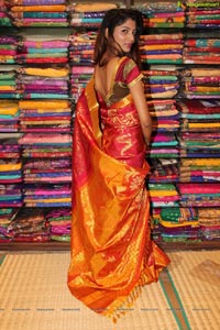 Kancheepuram Varamahalakshmi Silks