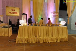 Siddharth-Harini Wedding