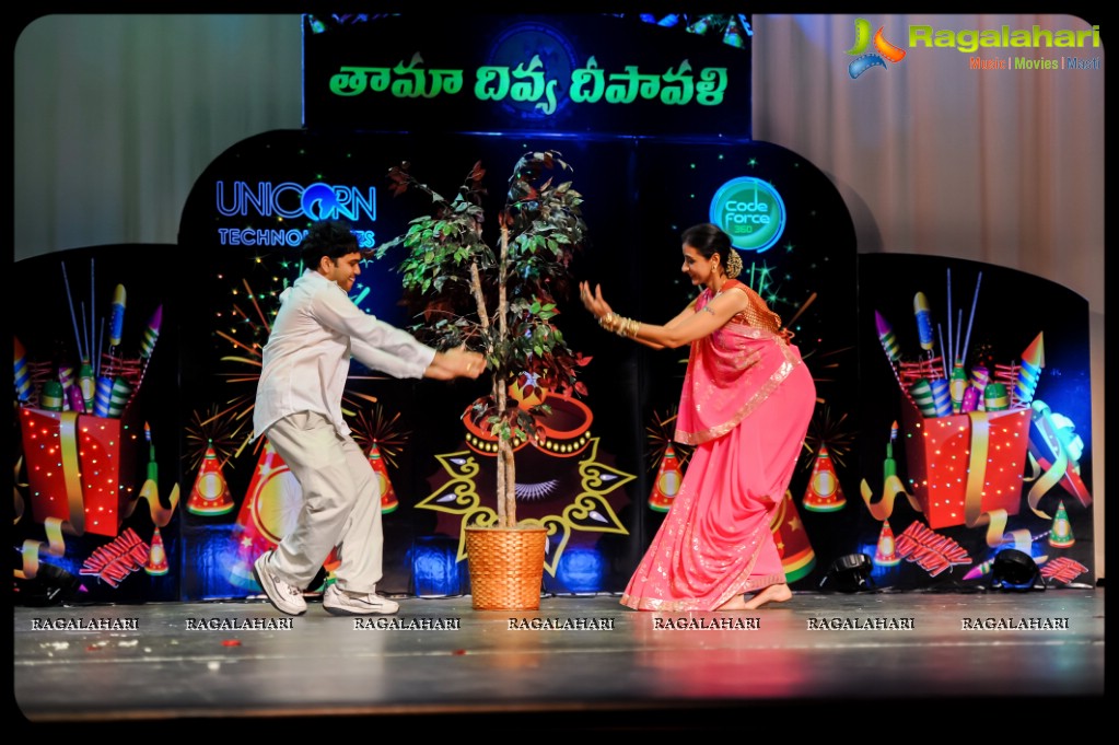 Telugu Association Of Metro Atlanta 2013 Deepavali Celebrations