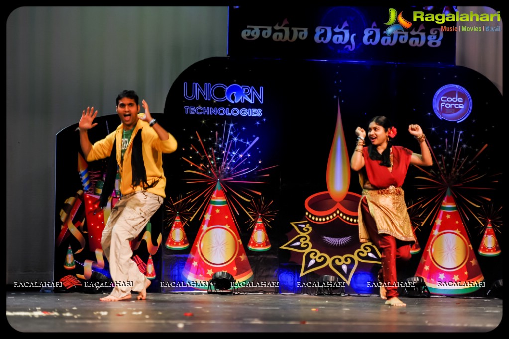 Telugu Association Of Metro Atlanta 2013 Deepavali Celebrations