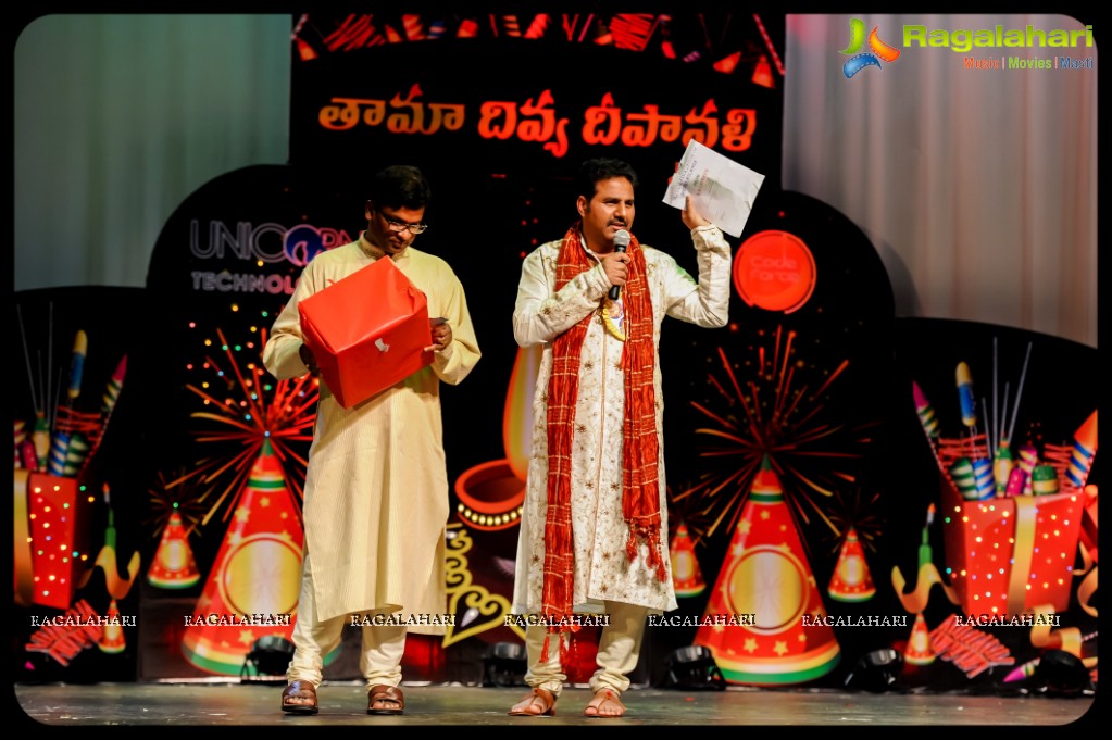 Telugu Association Of Metro Atlanta 2013 Deepavali Celebrations